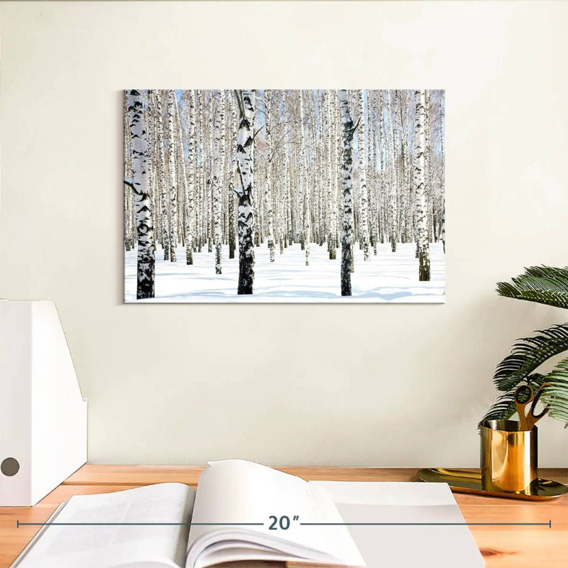 Alvord Snow White Birch Grove, 8" H x 12" W