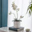 Pot de fleurs en céramique-930330492