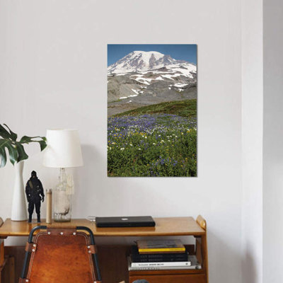 «Broadleaf Lupin Flowers in a Field Mount Rainier National Park Washington State USA», reproduction de photo sur toile