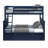 Bolles Kids Bunk Bed with Trundle-428809081-445596344