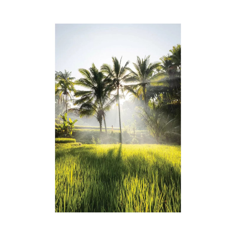 Bali II by Daisuke Uematsu - Wrapped Canvas Gallery-Wrapped Canvas Giclée, 20.32 cm H x 30.48 cm W