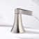 Reesley 8 in. Widespread 2-Handle Bathroom Faucet