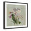 «Botanical Posters», Jardin Botanique-60137081-60137082