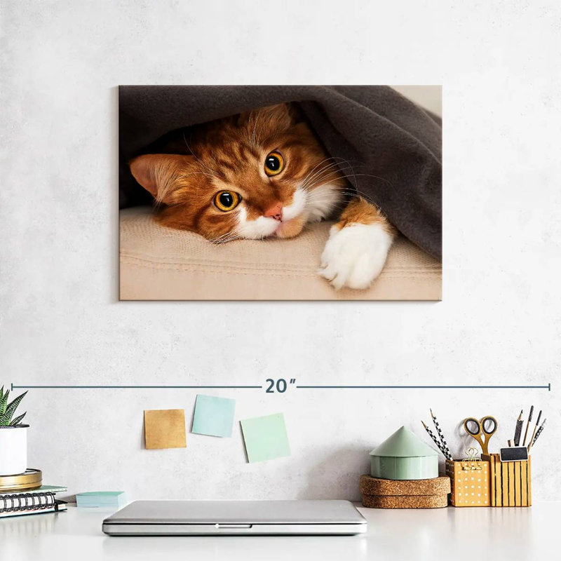 Crowle Cozy Cat, 8" H x 12" W