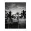 Photographie de palmier, toile par Carol Robinson-1802308808