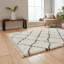 Boho Lavenia Machine Woven Area Rug-403083765