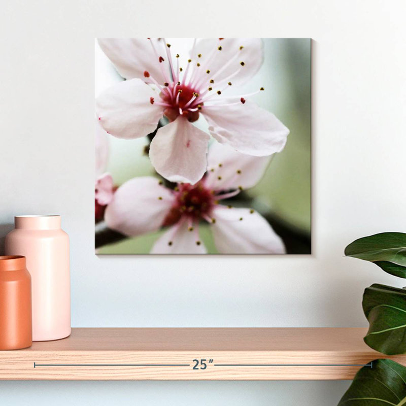 Harnek Cherry Flower, 16" H x 16" W