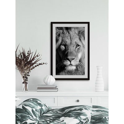 Lion Portrait 1 Piece Painting