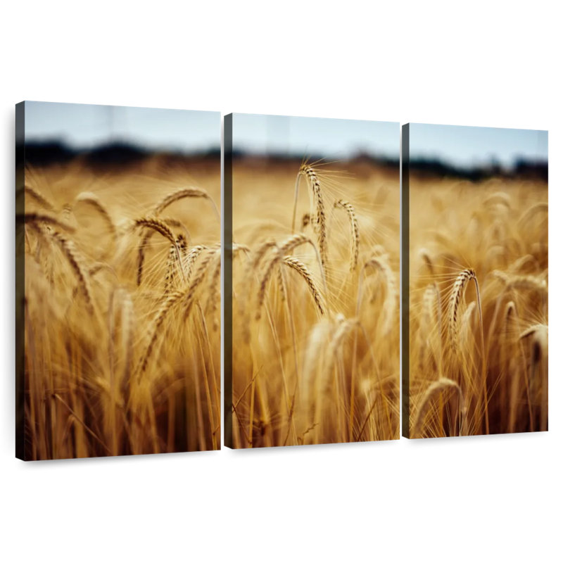 Harnek Field Of Wheat, 28" H x 45" W