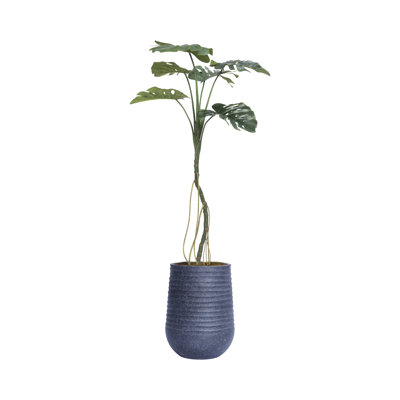 71,08 po plante