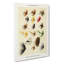 Hackles Fishing by Mary Orvis Marbury - Wrapped Canvas-55310231