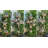 Guglielmo 86.75'' H x 26'' W x 9'' D Birdhouse
