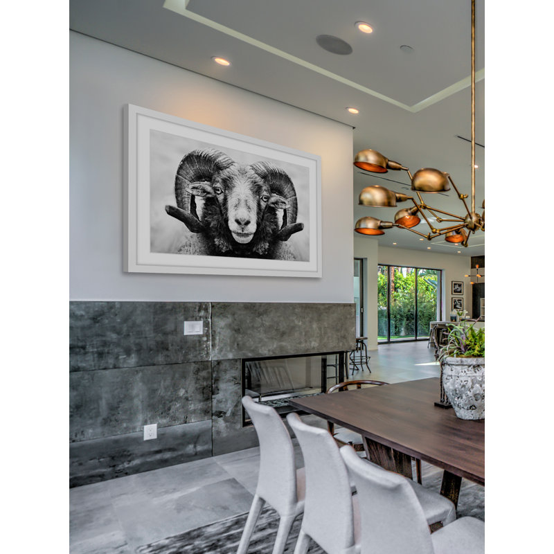 " I Dare You Ram ", 20" H x 30" W x 1.5" D