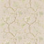 Pearl/Linen