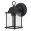 1 Light Exterior Lighting In Black Finish And Clear Shade-2086972207