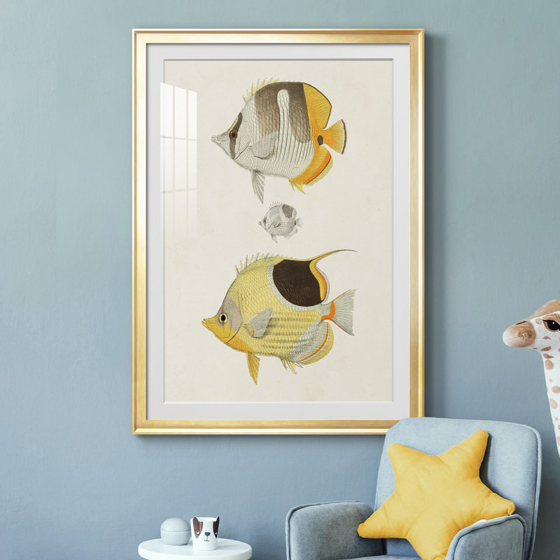 Poisson jaune et gris II - imprimé, Cadre doré, H 42,5 po x l 30,5 po x P 1 po