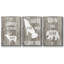Exotic Botanique I - Ensemble de 3 cadres flottants sur toile-97794957-97794958