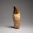 Genuine Mosasaur Tooth With Root (170.6 Grams)