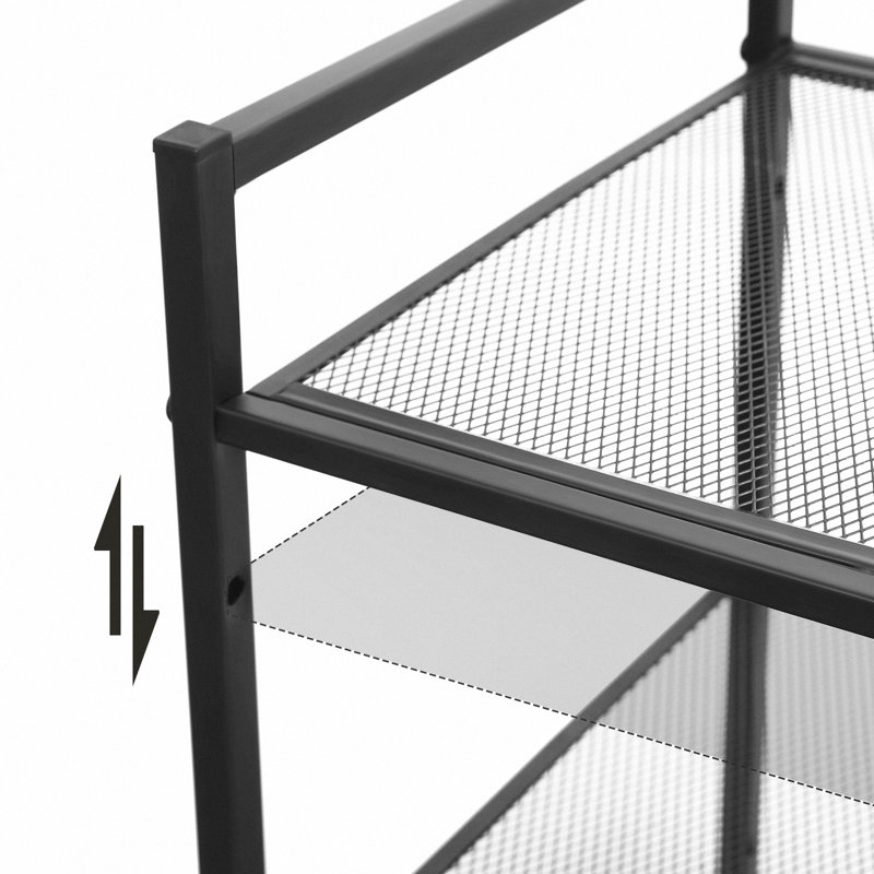 Tahler 10 Pair Shoe Rack
