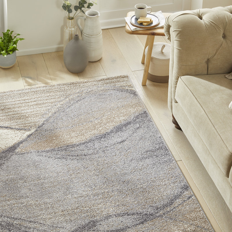 Plush Grey Beige Area Rug, Rectangle 120 x 170 cm