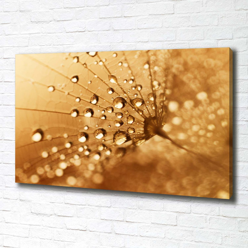 Dandelion - Wrapped Canvas Print