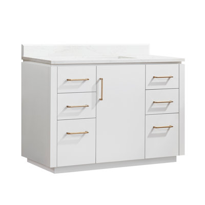Cloverfield 48'' Single Bathroom Vanity