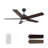 52'' Ceiling Fan with LED Lights-779317713