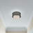 Nedra Flush Mount
