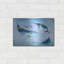 «Ocean Adventure Collection A» par Grace Popp-341035143