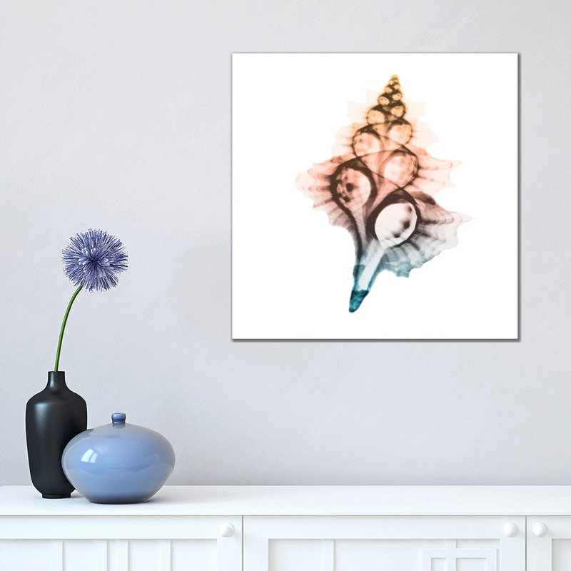 Morning Sea Shells II by Albert Koetsier - Print on Canvas, Wrapped Canvas, 45.72cm H x 45.72cm W x 1.91cm D