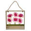 Marguerite dans un panier Gerber August Grove®-24745615