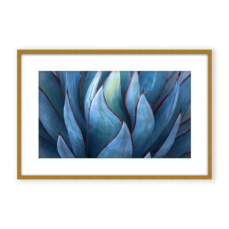 Nature Inspired Blue Agave Abstract by  - Picture Frame Graphic Art on Paper, 32" H x 48" W x 1.125" D, Black