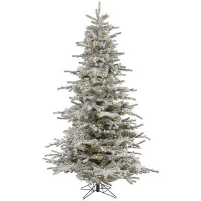 Sierra Christmas Tree