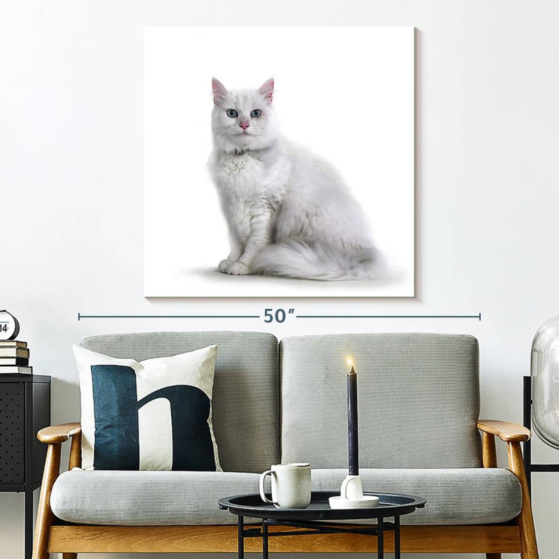 Crowle - Chat blanc élégant, H 33 po x l 33 po