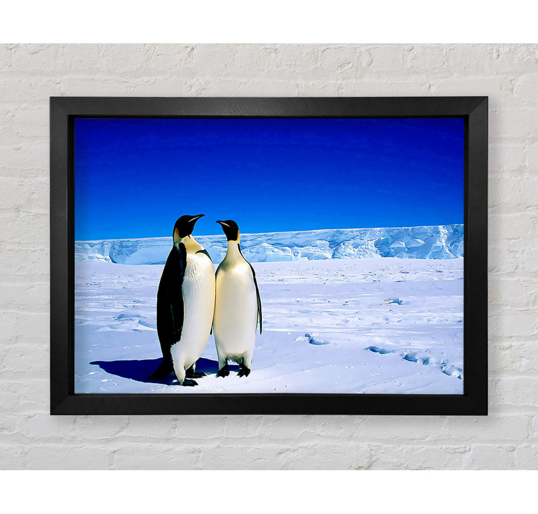 Pinguin Spaziergang Gerahmter Druck Wandkunst