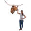 Sculpture murale Texas Longhorn Bull
