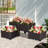 Colley Elevated Planter