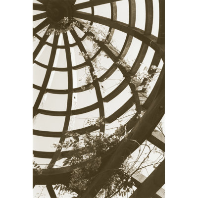 Pergola Basket by Meg McComb - Wrapped Canvas Print