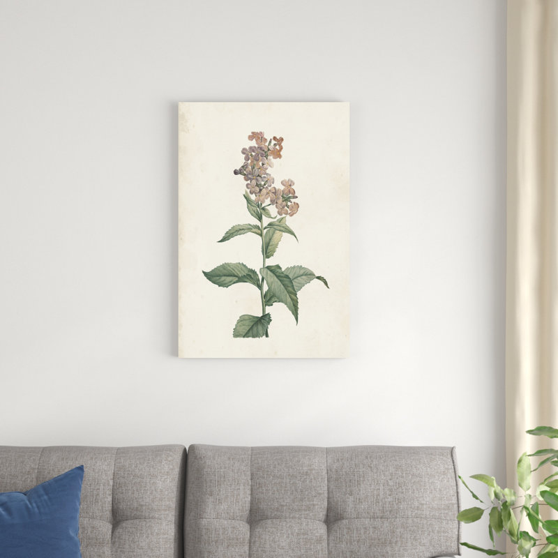 Classic Botanicals II, H 30 po x l 20 po