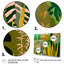«Blossoming And Vibrant Jungle Flora III», reproduction sur toile 3 pièces-567460938-567460935