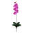 Orchid Arrangement