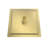 Ascend Ultra-Thin Square Shower Head - 8 in., Brushed Brass-121869644-123125555