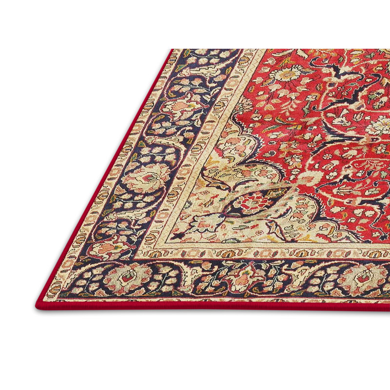 Daniaal Oriental Indoor Rug, Rectangle 3' x 5'