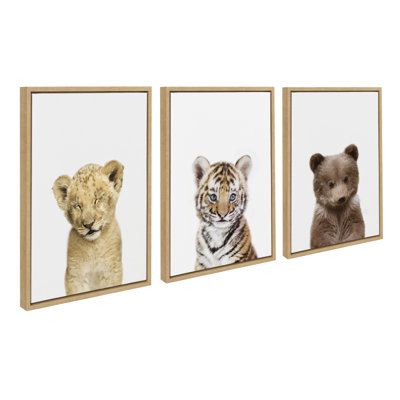 Animal Studio Sleepy Lion, Baby Tiger Portrait and Animal Studio Bear by Amy Peterson Framed Canvas Wall Art Set