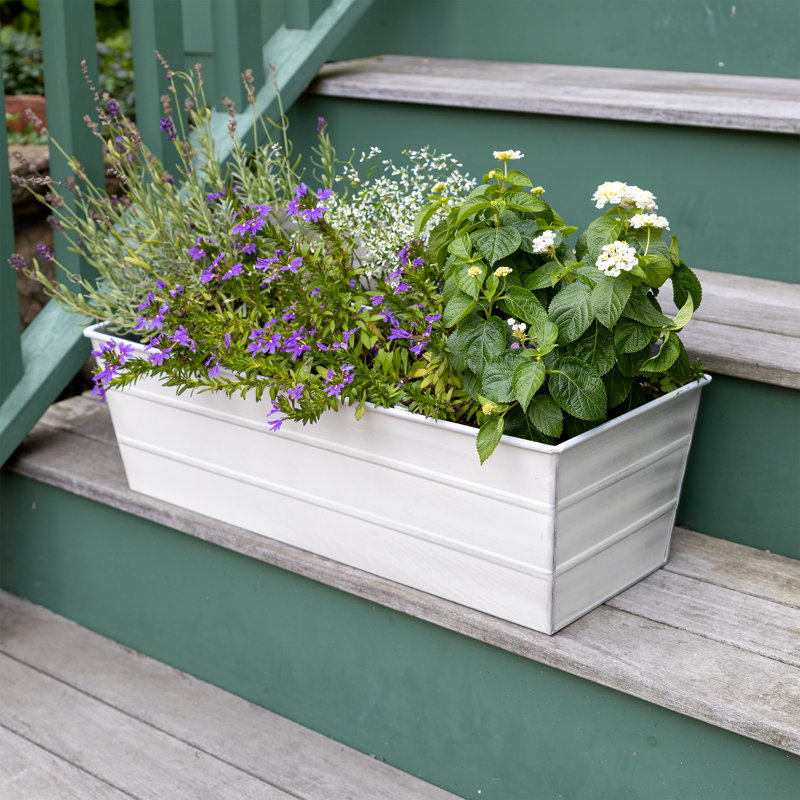 Dreketi Metal Window Box Planter, Cape Cod White