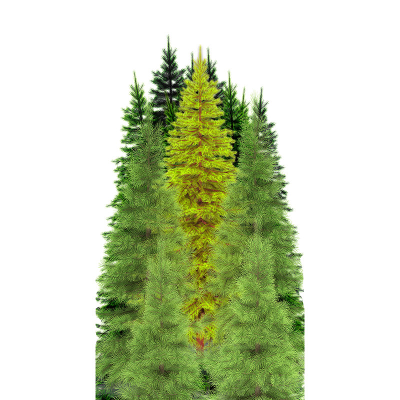 Tree Group Forest Cardboard Standup
