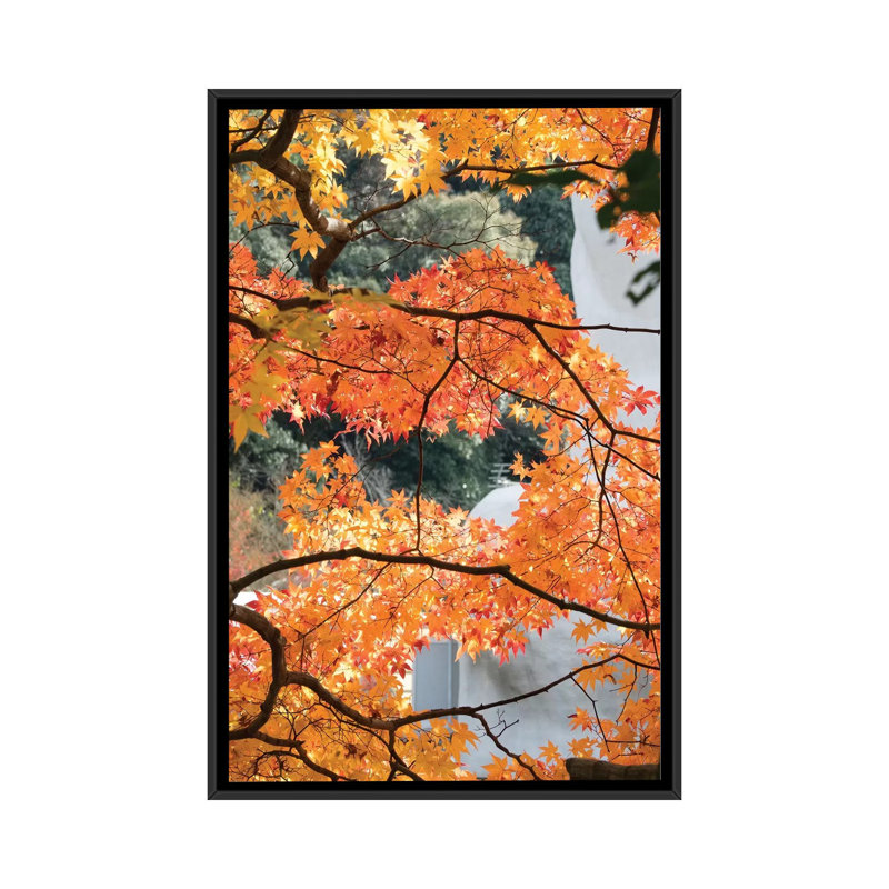 Reproduction de photo sur toile, H 26 po x l 18 po x P 1,5 po, Toile avec cadre noir, Pas de tapis