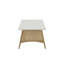 Table basse-1623356331