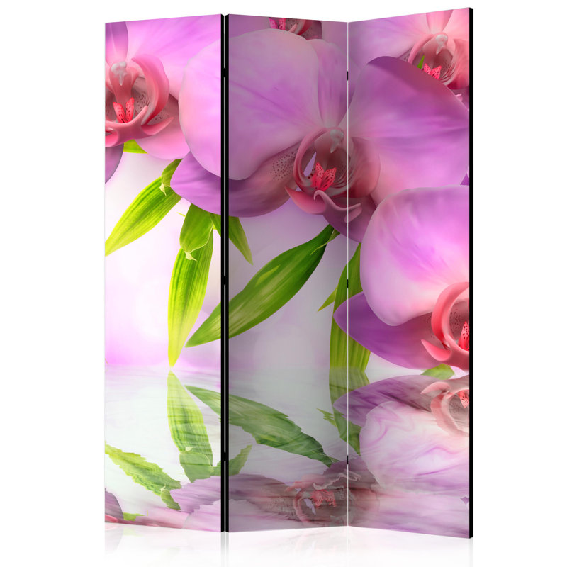 Golliner 135cm W x 172cm H 3 - Panel Solid Wood Folding Room Divider