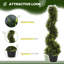 Charleston 90cm Faux Cedar Topiary in Pot